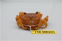 藏品(拉氏清溪蟹)的圖片